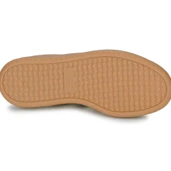 Outlet Adidas Sportswear - BARREDA