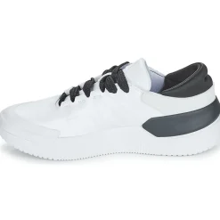 Online Adidas Sportswear - COURT FUNK