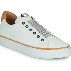 Sale Adige - QUANTON4 V8 Blanc