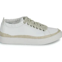 Best Adige - QUINCY Blanc