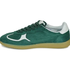 Best ALOHAS - Tb.490 Vert