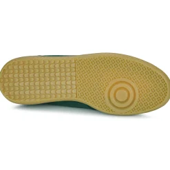 Best ALOHAS - Tb.490 Vert