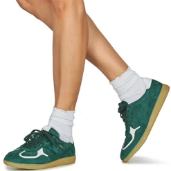 Best ALOHAS - Tb.490 Vert