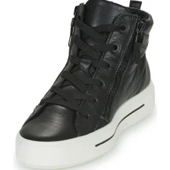 Ara - COURTYARD Noir