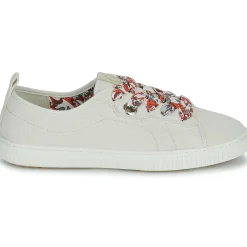 Best Armistice - NOVO ONE