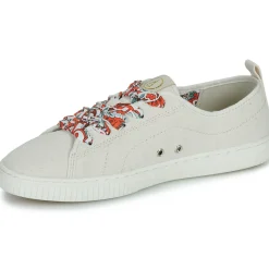 Best Armistice - NOVO ONE