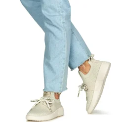 Sale Armistice - VOLT ONE