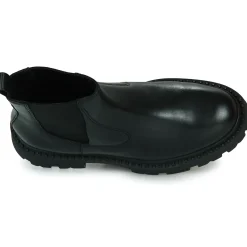 New Ash - GENESIS Noir