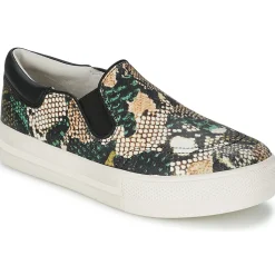 Clearance Ash - JAM Python