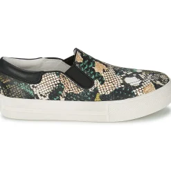 Clearance Ash - JAM Python