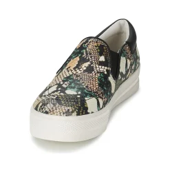 Clearance Ash - JAM Python