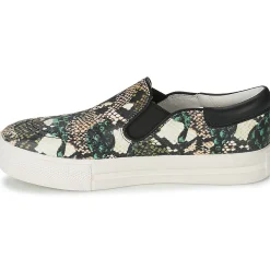 Clearance Ash - JAM Python