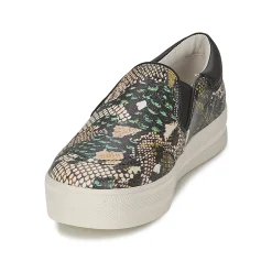 Best Ash - JAM Python