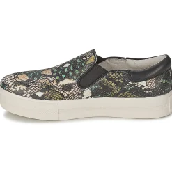 Best Ash - JAM Python