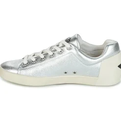 Online Ash - NAK BIS Argent