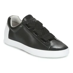 Sale Ash - NINA Noir