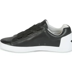 Sale Ash - NINA Noir