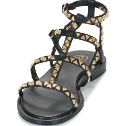 Sale Ash - PANDORA Noir