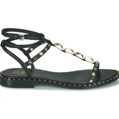 Discount Ash - PARTY Noir