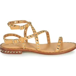 Outlet Ash - PETRA Marron