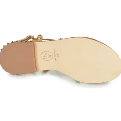 Outlet Ash - PETRA Marron