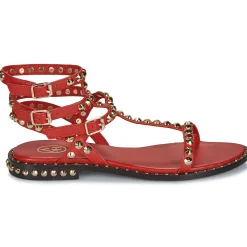 Sale Ash - PLAY Rouge