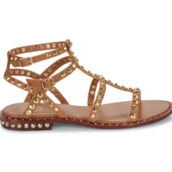 Hot Ash - PRECIOUS Camel