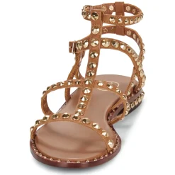 Hot Ash - PRECIOUS Camel