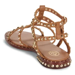 Hot Ash - PRECIOUS Camel