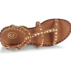 Hot Ash - PRECIOUS Camel