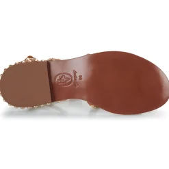 Hot Ash - PRECIOUS Camel