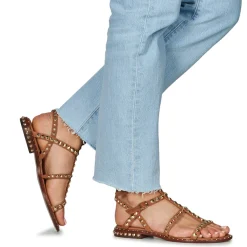 Hot Ash - PRECIOUS Camel