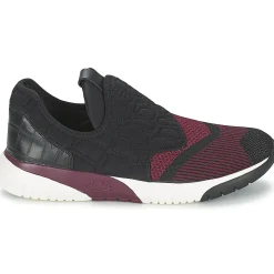 Clearance Ash - SODA