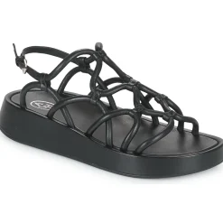 Discount Ash - VENUS Noir