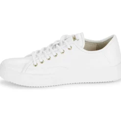 Blackstone - BL234 Blanc