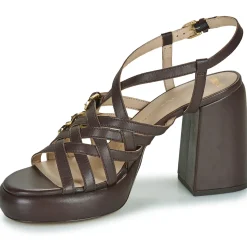 Best Bronx - ginn-y Marron