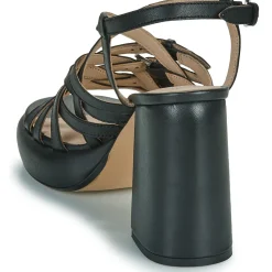 Best Bronx - ginn-y Noir