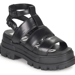 Hot Buffalo - ASPHA GLD Noir