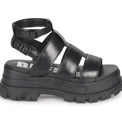 Hot Buffalo - ASPHA GLD Noir