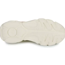 Best Buffalo - CLD CHAI