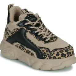 Hot Buffalo - CLD CHAI WARM