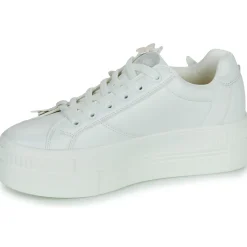 New Buffalo - PAIRED BUTTERFLY Blanc