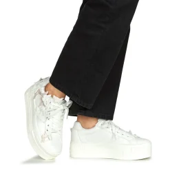 New Buffalo - PAIRED BUTTERFLY Blanc