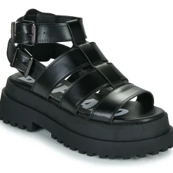 Best Buffalo - PLUTO GLD Noir