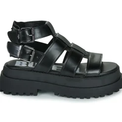 Best Buffalo - PLUTO GLD Noir