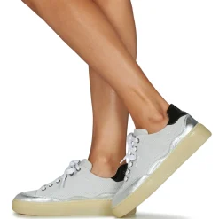 Hot Bullboxer - 783004E5C