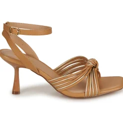 Best Bullboxer - 156002F2S