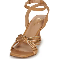 Best Bullboxer - 156002F2S