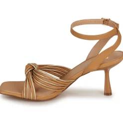 Best Bullboxer - 156002F2S