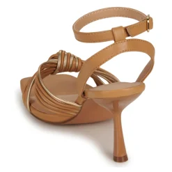 Best Bullboxer - 156002F2S